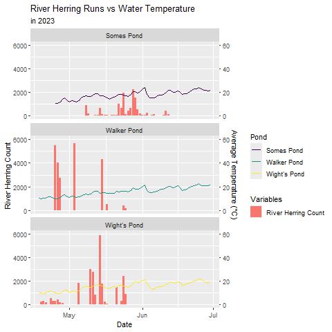 Line and Bar Graph of Average Water Temperature and River Herring Count in 2023 by Pond